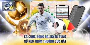 Cá cược bóng đá