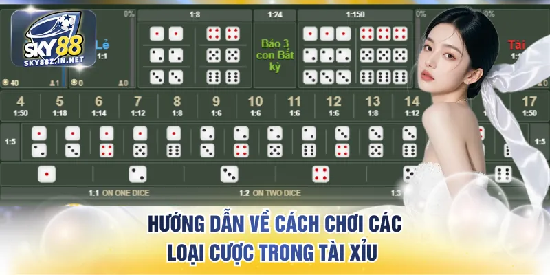 Hướng dẫn về cách chơi các loại cược trong tài xỉu