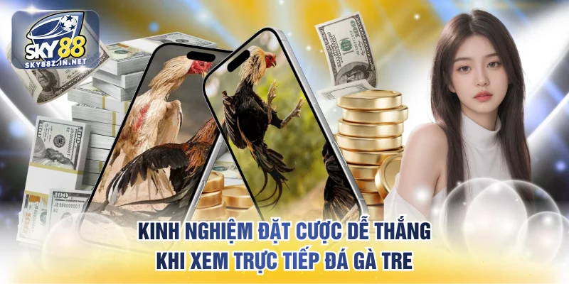 Kinh nghiệm đặt cược dễ thắng khi xem trực tiếp đá gà tre