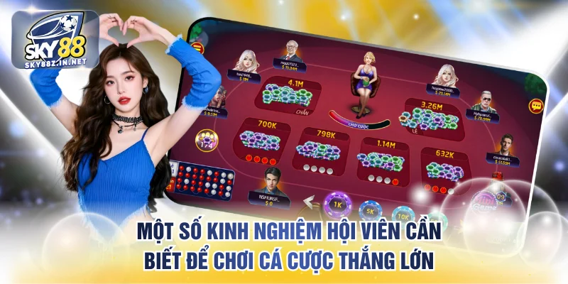 Một số kinh nghiệm hội viên cần biết để chơi cá cược thắng lớn