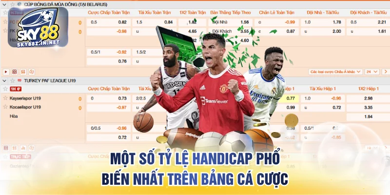 Một số tỷ lệ Handicap phổ biến nhất trên bảng cá cược