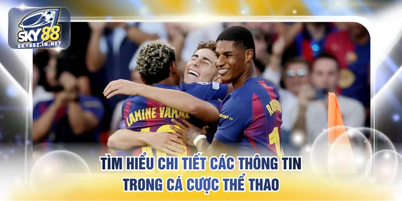 Tìm hiểu chi tiết các thông tin trong cá cược thể thao